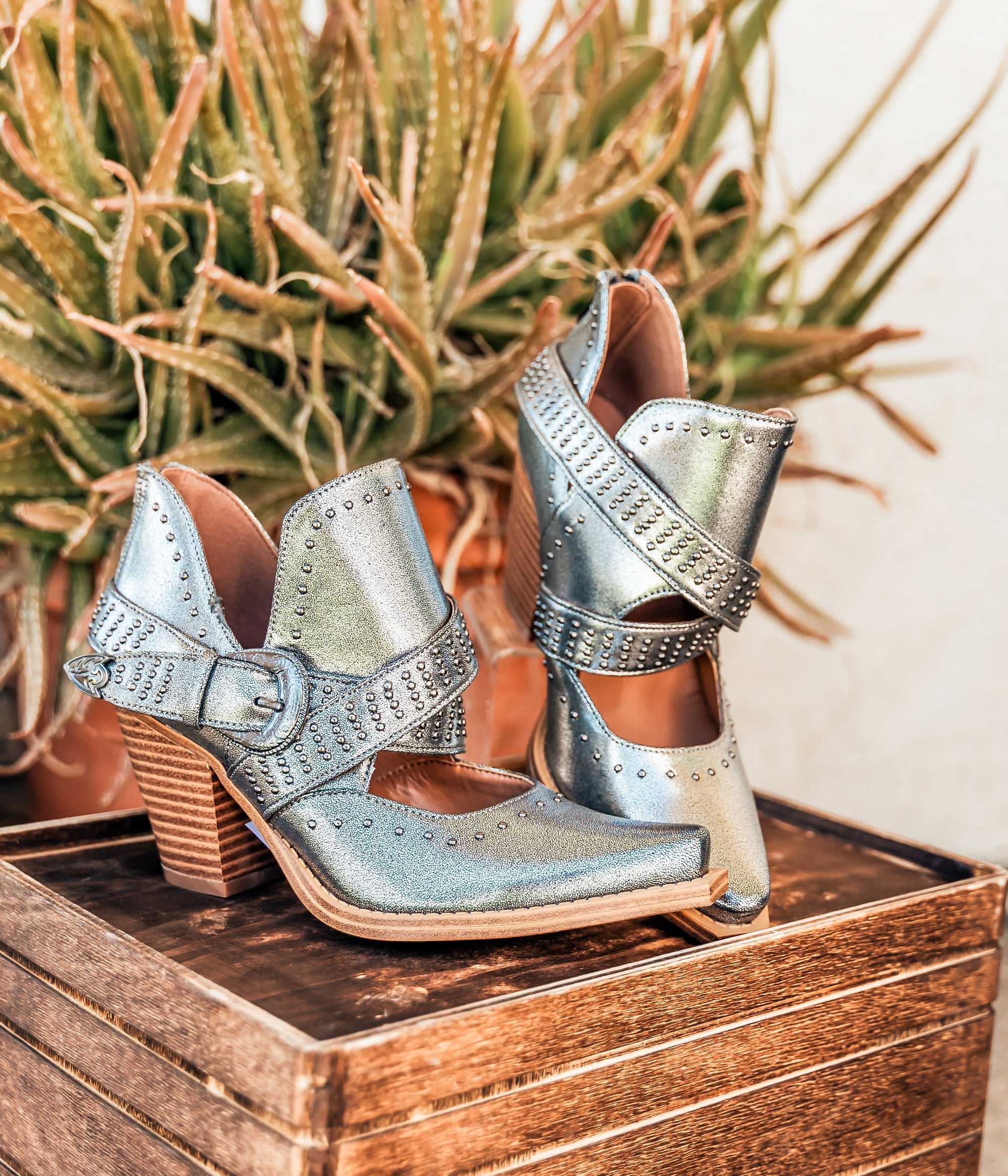 Fiona Ankle Silver Boots