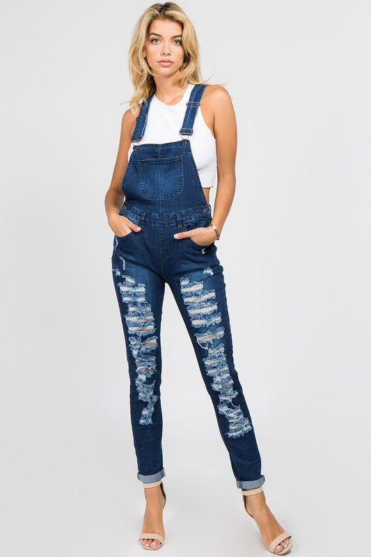 Distressed Overalls 